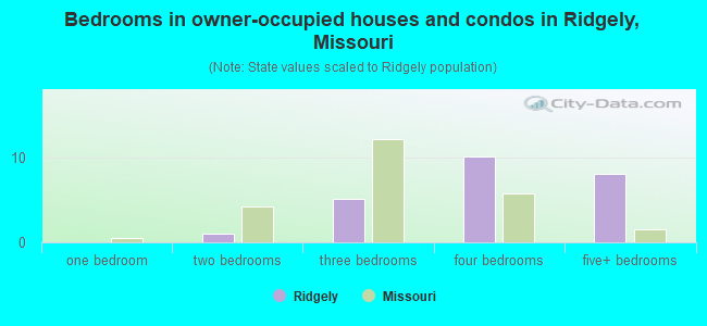 Bedrooms in owner-occupied houses and condos in Ridgely, Missouri