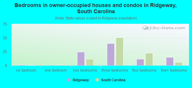 Bedrooms in owner-occupied houses and condos in Ridgeway, South Carolina