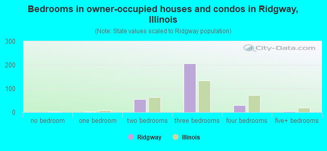 Bedrooms in owner-occupied houses and condos in Ridgway, Illinois