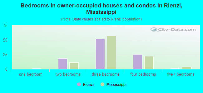 Bedrooms in owner-occupied houses and condos in Rienzi, Mississippi