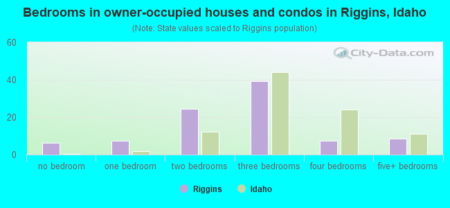 Bedrooms in owner-occupied houses and condos in Riggins, Idaho