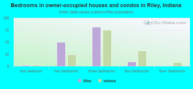 Bedrooms in owner-occupied houses and condos in Riley, Indiana