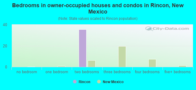 Bedrooms in owner-occupied houses and condos in Rincon, New Mexico