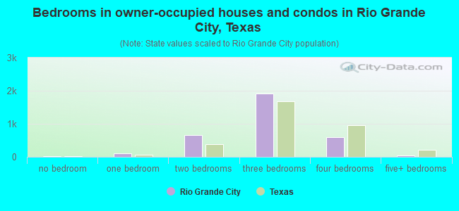 Bedrooms in owner-occupied houses and condos in Rio Grande City, Texas
