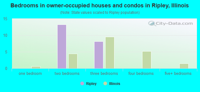 Bedrooms in owner-occupied houses and condos in Ripley, Illinois