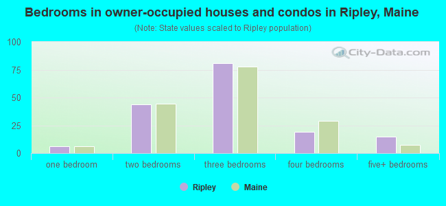 Bedrooms in owner-occupied houses and condos in Ripley, Maine