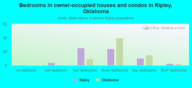Bedrooms in owner-occupied houses and condos in Ripley, Oklahoma