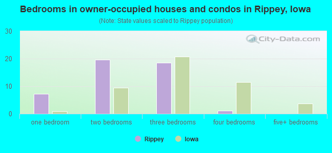 Bedrooms in owner-occupied houses and condos in Rippey, Iowa