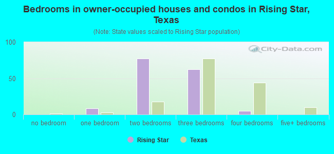 Bedrooms in owner-occupied houses and condos in Rising Star, Texas