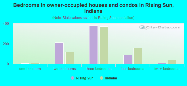 Bedrooms in owner-occupied houses and condos in Rising Sun, Indiana