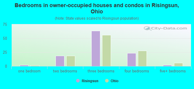 Bedrooms in owner-occupied houses and condos in Risingsun, Ohio