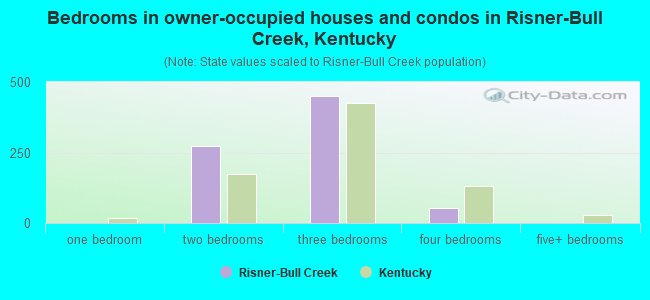 Bedrooms in owner-occupied houses and condos in Risner-Bull Creek, Kentucky