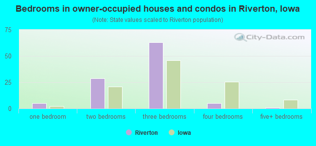 Bedrooms in owner-occupied houses and condos in Riverton, Iowa