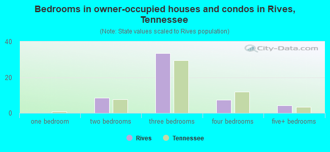 Bedrooms in owner-occupied houses and condos in Rives, Tennessee