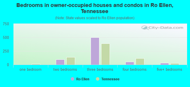 Bedrooms in owner-occupied houses and condos in Ro Ellen, Tennessee