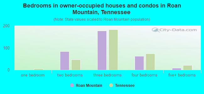 Bedrooms in owner-occupied houses and condos in Roan Mountain, Tennessee