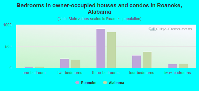 Bedrooms in owner-occupied houses and condos in Roanoke, Alabama