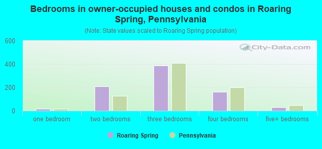 Bedrooms in owner-occupied houses and condos in Roaring Spring, Pennsylvania