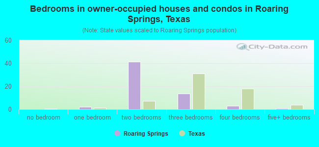 Bedrooms in owner-occupied houses and condos in Roaring Springs, Texas