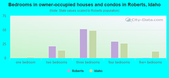 Bedrooms in owner-occupied houses and condos in Roberts, Idaho