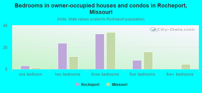 Bedrooms in owner-occupied houses and condos in Rocheport, Missouri