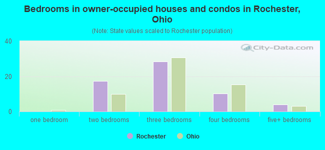 Bedrooms in owner-occupied houses and condos in Rochester, Ohio