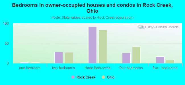 Bedrooms in owner-occupied houses and condos in Rock Creek, Ohio