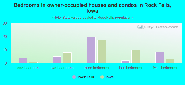 Bedrooms in owner-occupied houses and condos in Rock Falls, Iowa