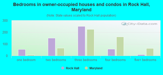 Bedrooms in owner-occupied houses and condos in Rock Hall, Maryland