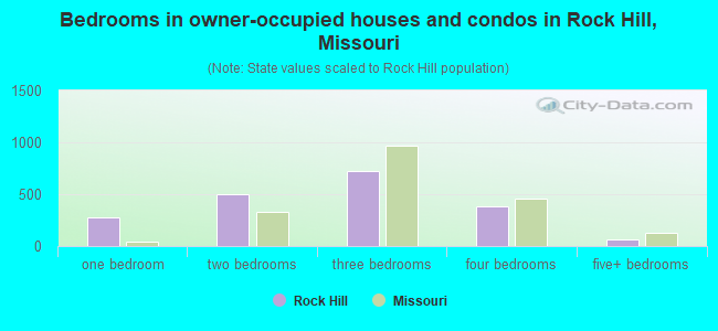 Bedrooms in owner-occupied houses and condos in Rock Hill, Missouri