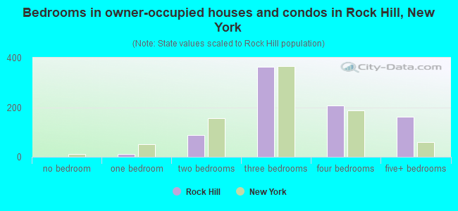 Bedrooms in owner-occupied houses and condos in Rock Hill, New York