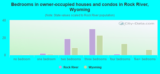 Bedrooms in owner-occupied houses and condos in Rock River, Wyoming