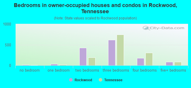 Bedrooms in owner-occupied houses and condos in Rockwood, Tennessee