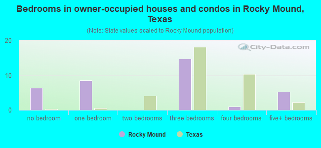 Bedrooms in owner-occupied houses and condos in Rocky Mound, Texas