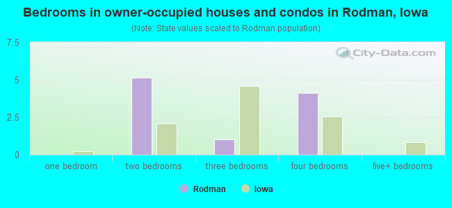 Bedrooms in owner-occupied houses and condos in Rodman, Iowa