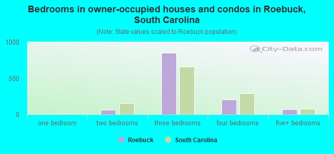 Bedrooms in owner-occupied houses and condos in Roebuck, South Carolina