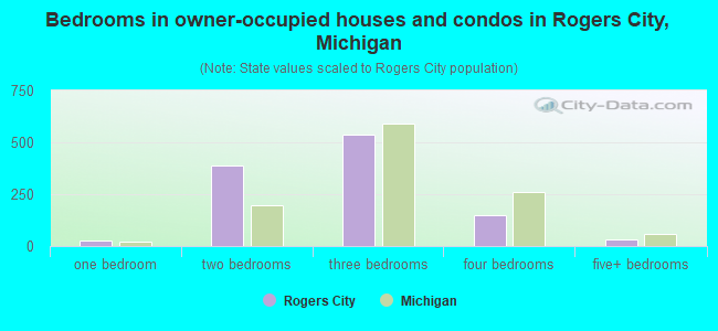 Bedrooms in owner-occupied houses and condos in Rogers City, Michigan