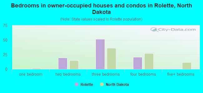 Bedrooms in owner-occupied houses and condos in Rolette, North Dakota