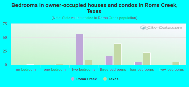 Bedrooms in owner-occupied houses and condos in Roma Creek, Texas