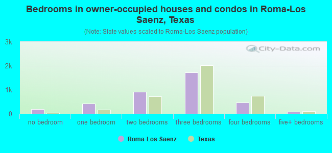 Bedrooms in owner-occupied houses and condos in Roma-Los Saenz, Texas