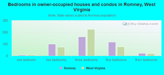 Bedrooms in owner-occupied houses and condos in Romney, West Virginia
