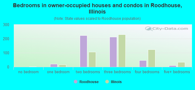 Bedrooms in owner-occupied houses and condos in Roodhouse, Illinois