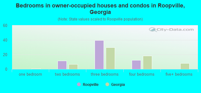 Bedrooms in owner-occupied houses and condos in Roopville, Georgia