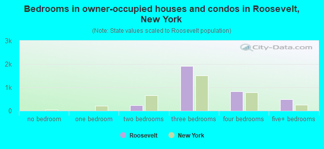 Bedrooms in owner-occupied houses and condos in Roosevelt, New York