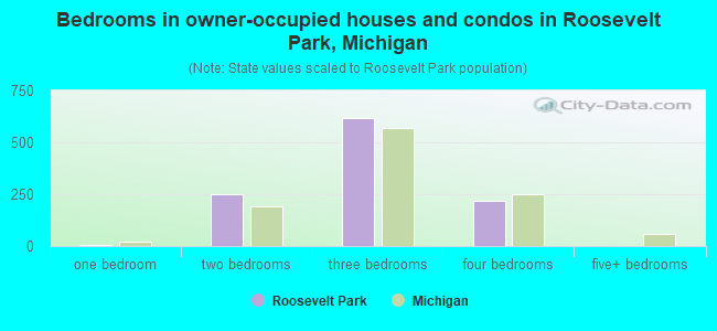 Bedrooms in owner-occupied houses and condos in Roosevelt Park, Michigan