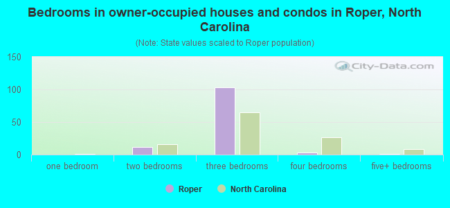 Bedrooms in owner-occupied houses and condos in Roper, North Carolina
