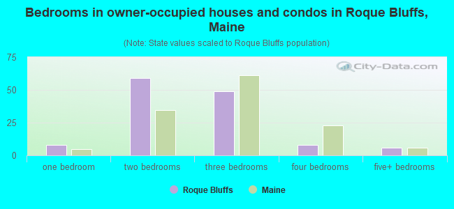 Bedrooms in owner-occupied houses and condos in Roque Bluffs, Maine
