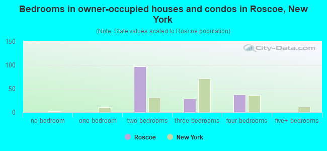Bedrooms in owner-occupied houses and condos in Roscoe, New York