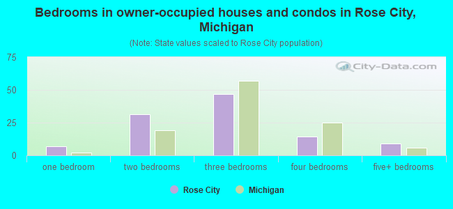 Bedrooms in owner-occupied houses and condos in Rose City, Michigan