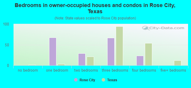 Bedrooms in owner-occupied houses and condos in Rose City, Texas
